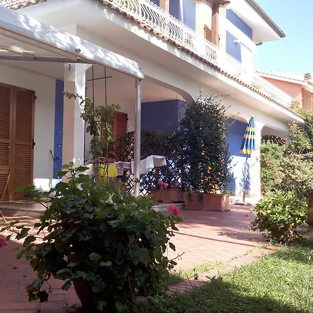 Amarenumana